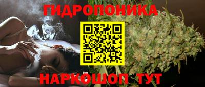 ешки Будённовск