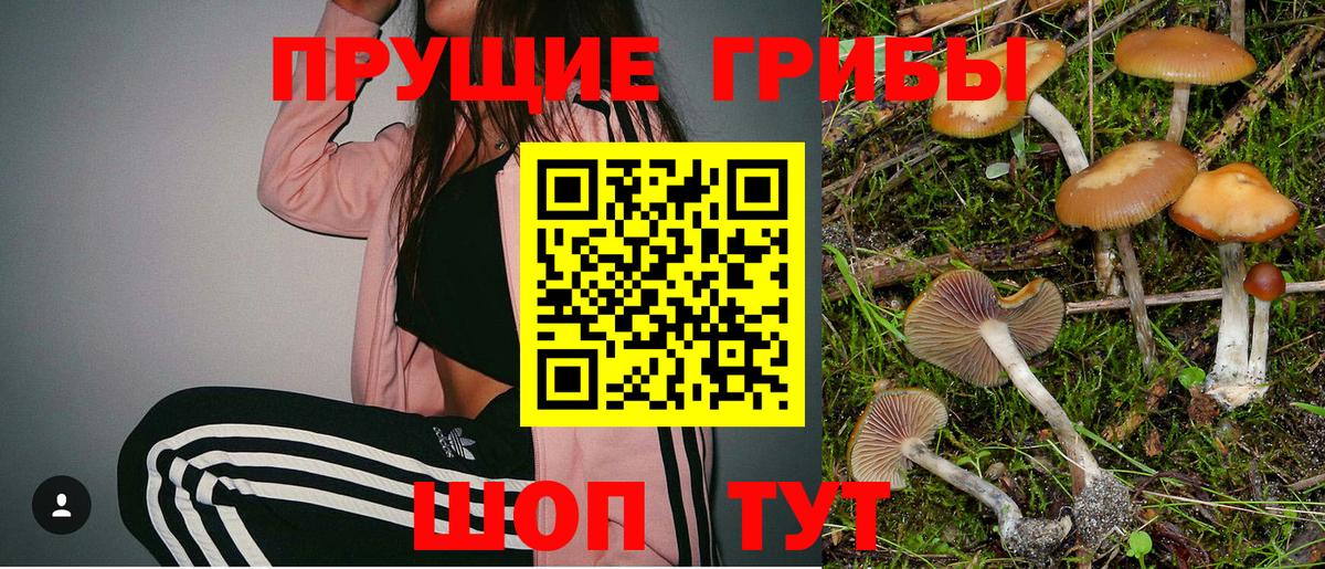 Псилоцибиновые грибы ЛСД  Вход с VPN  Новодвинск 