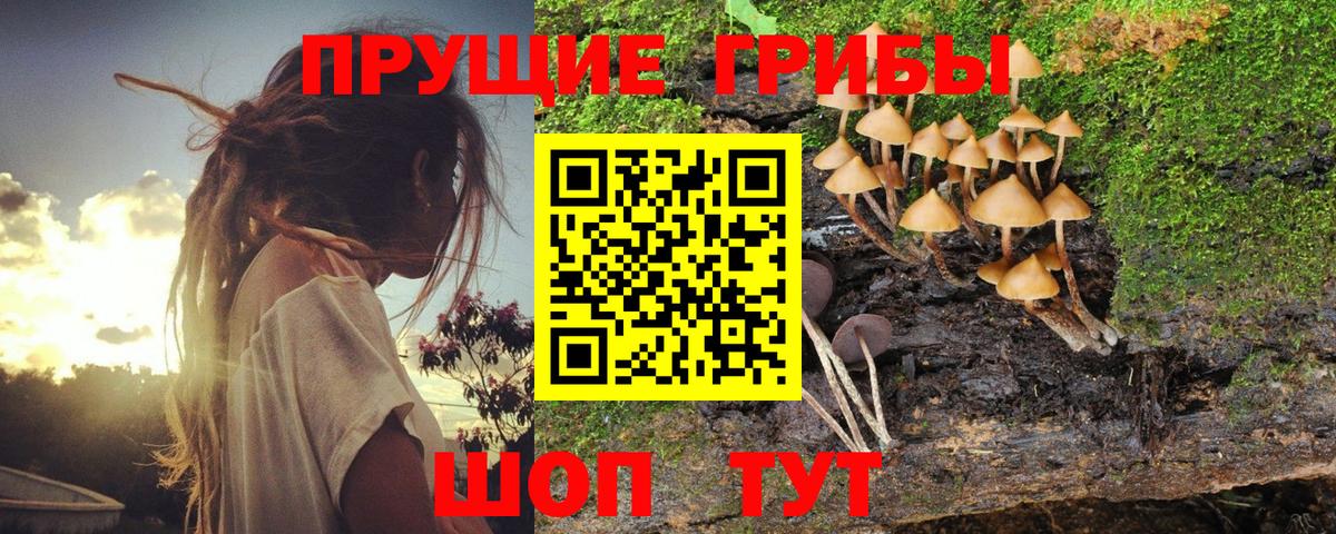 Галлюциногенные грибы GOLDEN TEACHER Новодвинск